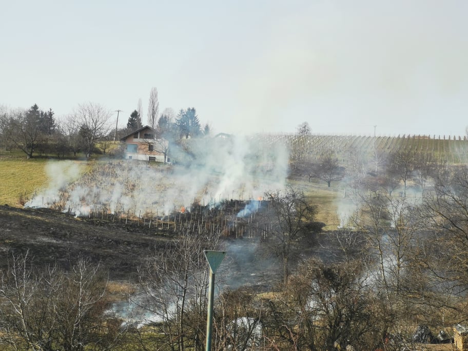 Požar u Železnoj Gori