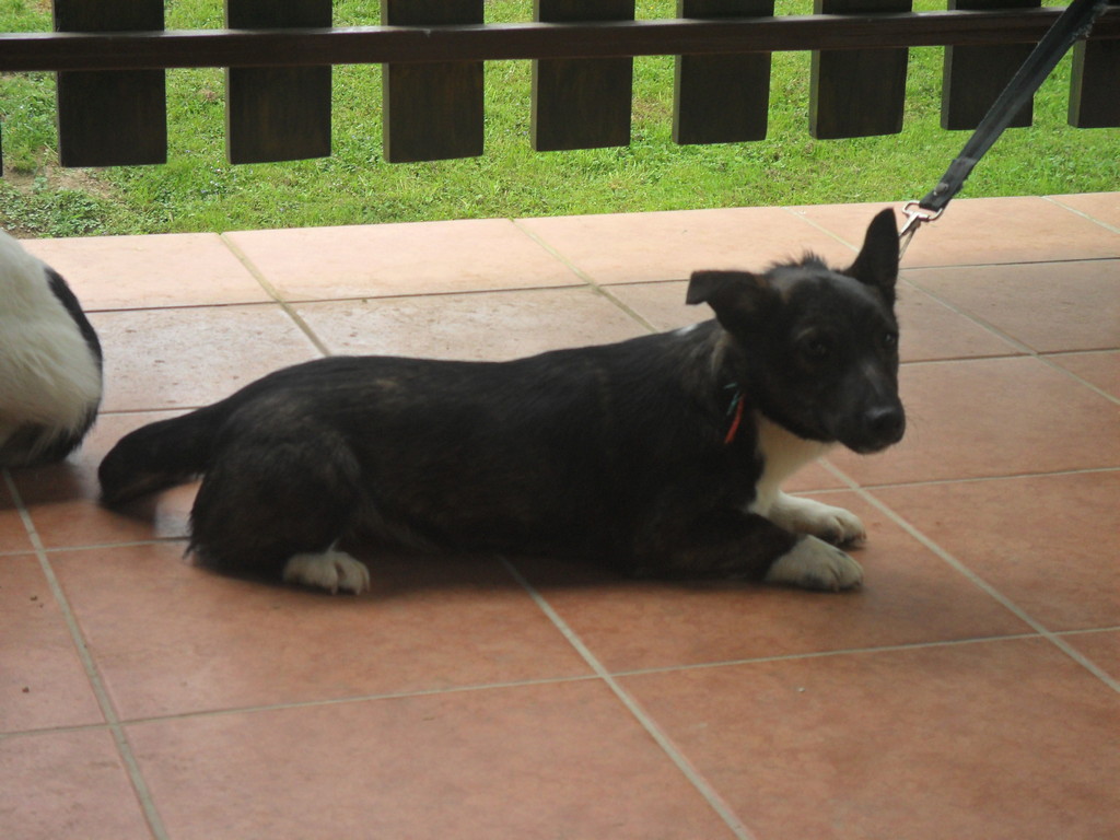 fotografija00007599068