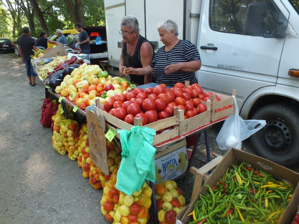 Image 5810867 (auto)