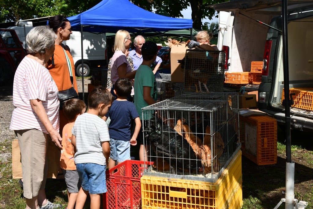 SAJAM U ČAKOVCU Sajam je preplavilo obilje svježeg voća i povrća