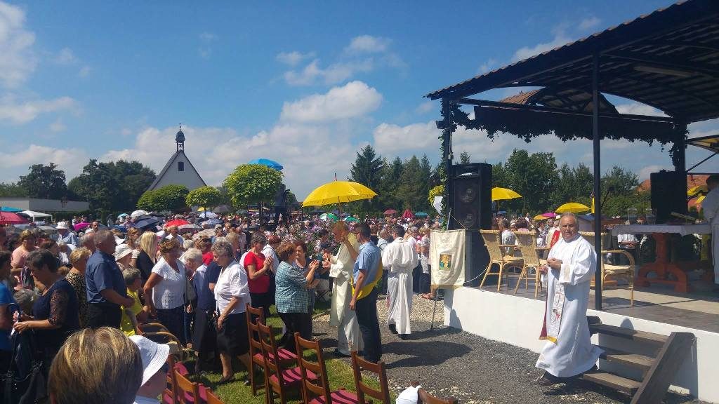 1401231810097686891209621578202