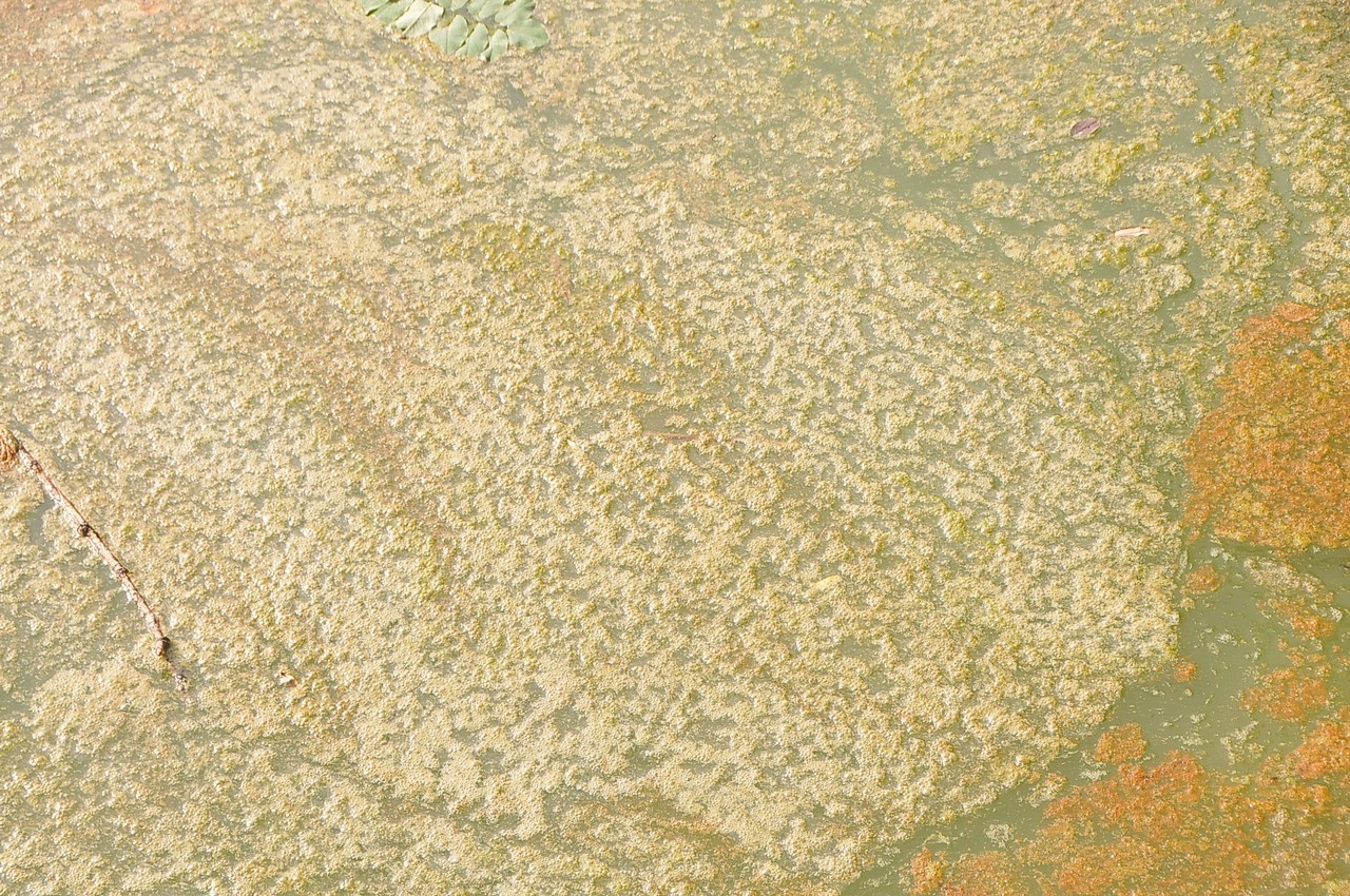 Mačkovčani ogorčeni crpljenjem vode iz Martice