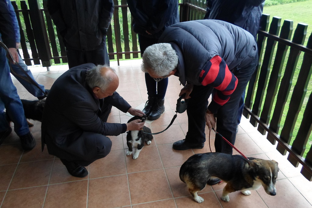 fotografija00009813749