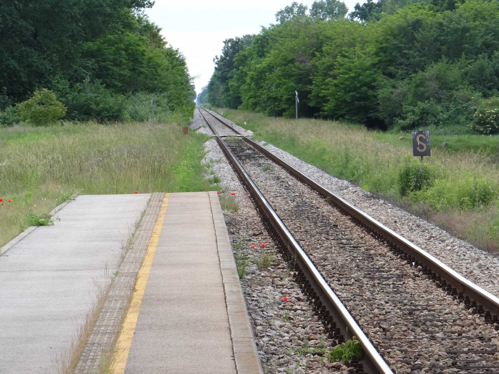 FOTO Željeznička postaja koja to nije: Vandalizam nad zapuštenom željezničkom postajom Donji Mihaljevec FOTO Željeznička postaja koja to nije: Vandalizam nad zapuštenom željezničkom postajom Donji Mihaljevec