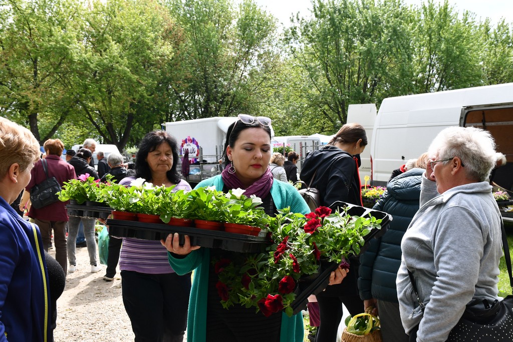 ČAKOVEČKI SAJAM SRIJEDOM Najveći interes i dalje vlada za presadnice