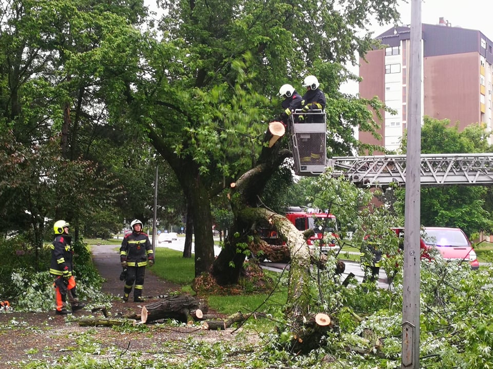 U Čakovcu se srušilo stablo