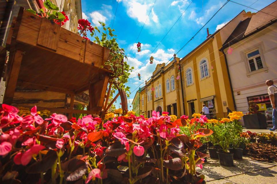 1331569211824366717913086133073