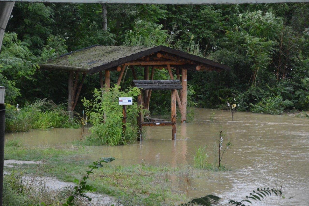 DONJA DUBRAVA Vodostaj Drave napravio svoje, veliki dio površine je već poplavljeno