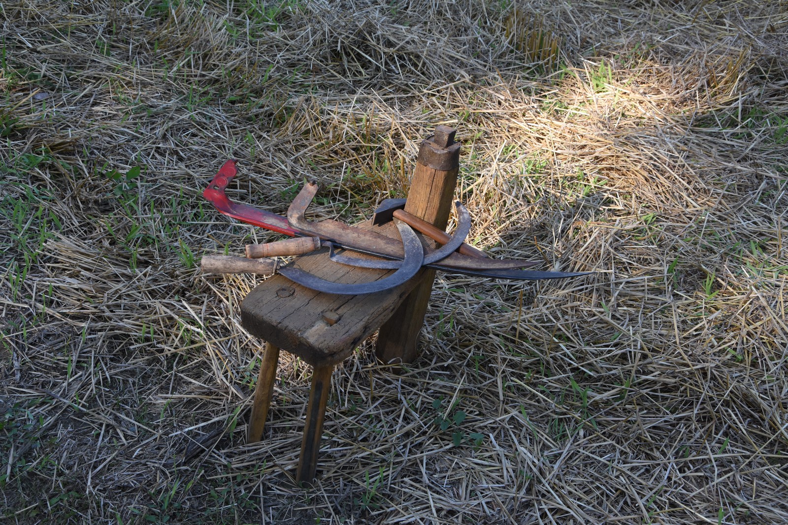 Mamičina žetva u Pušćinama