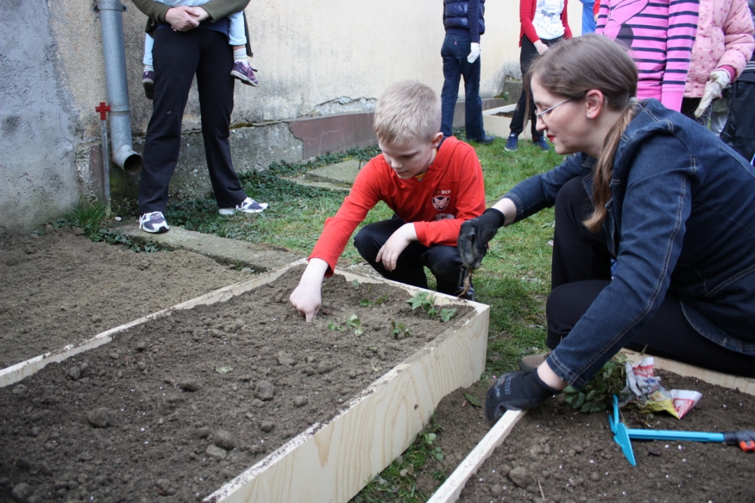 img4231resizekopija726475