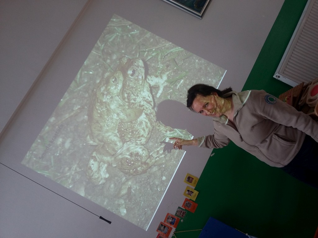 20160330094135611325