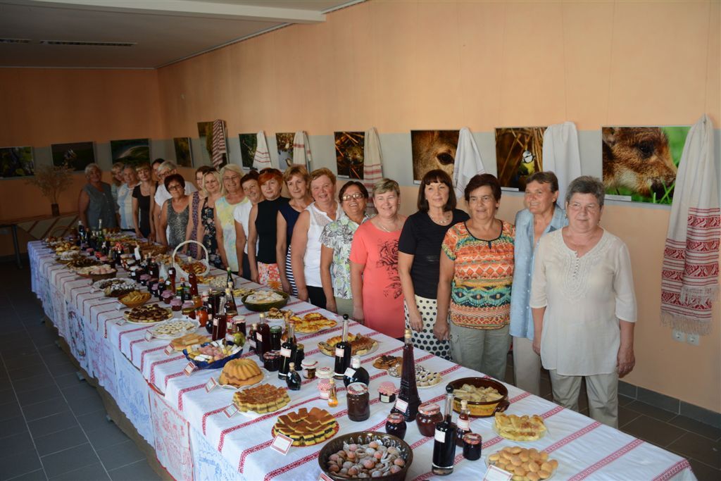 dsc6953780280