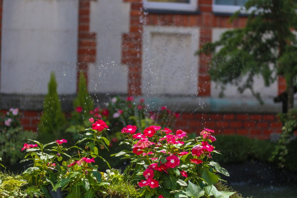 Cvjetne inovacije i ručno izrađeni predmeti ponovno krase centar Čakovca