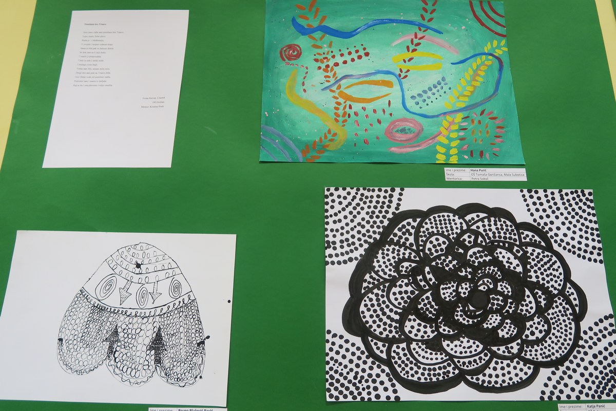 Dani Međimurske županije – Ruža međimurska u Donjem Vidovcu