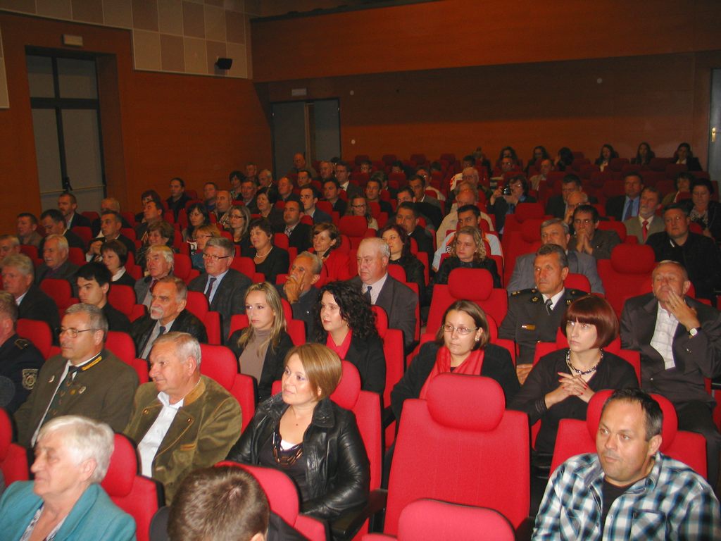 danikotoribe11750342