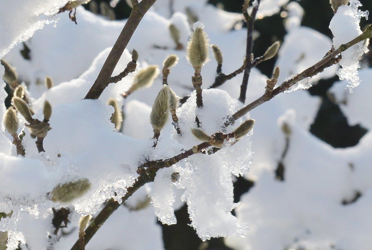 FOTO Predivne fotografije Donjodubrovčanke Katarine Frančić dar su Dobravčanima za Valentinovo