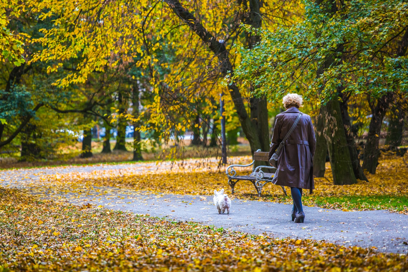 Čarobna jesen: Naša Miroslava Novak prošetala je čakovečkim parkom i snimila šarenilo jesenskih boja. Predivno, zar ne? (y) :-)