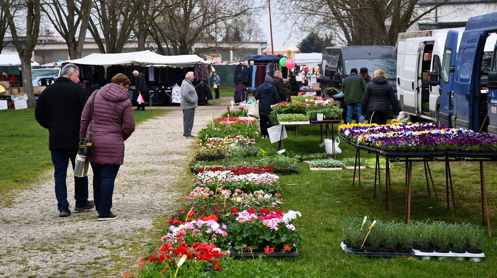 Prohladno jutro na čakovečkom sajmu, no bogata ponuda nije izostala