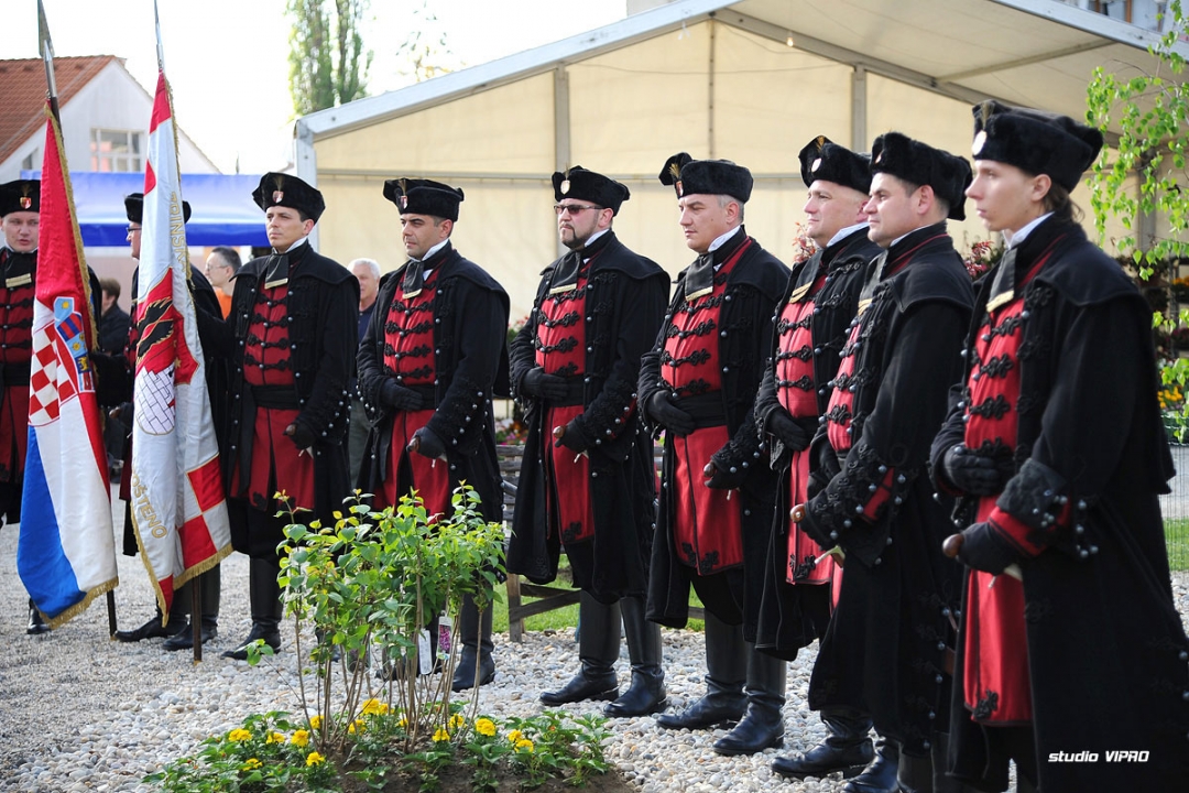 287611829dsc2776569896