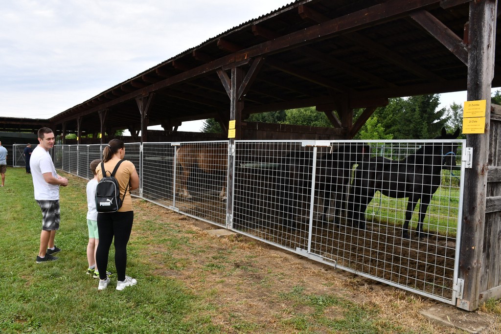 VIDEO I FOTO Međimurska škrinjica pokazala svo bogatstvo kraja med Murom i Dravom