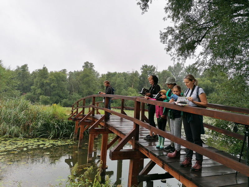 MEĐIMURSKA PRIRODA Ptičari tijekom dva sata opazili više od dvadeset ptičjih vrsta