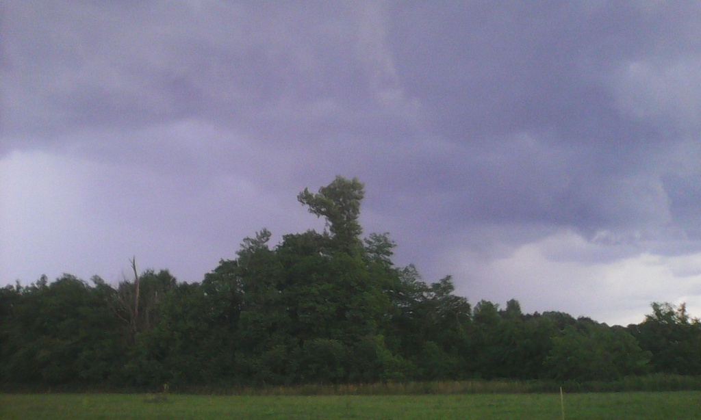 murskosredisce405898