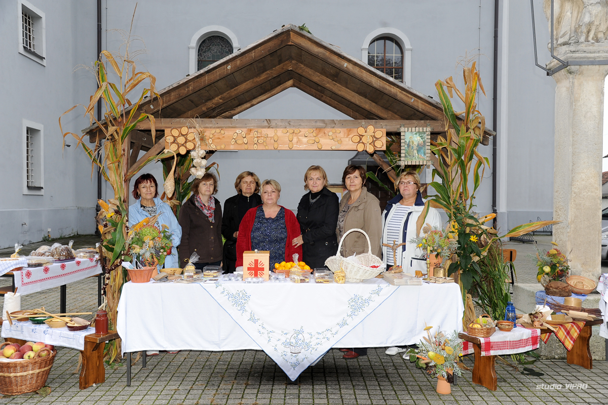 258110168dsc7412960740