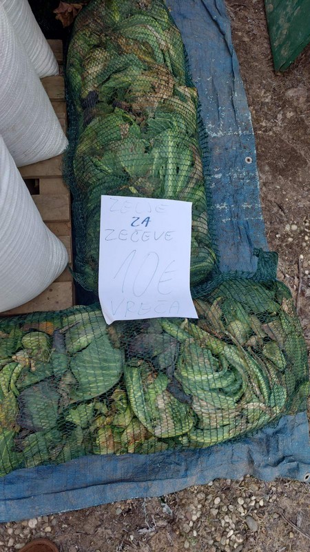 Čakovečki sajam 31.1.2024