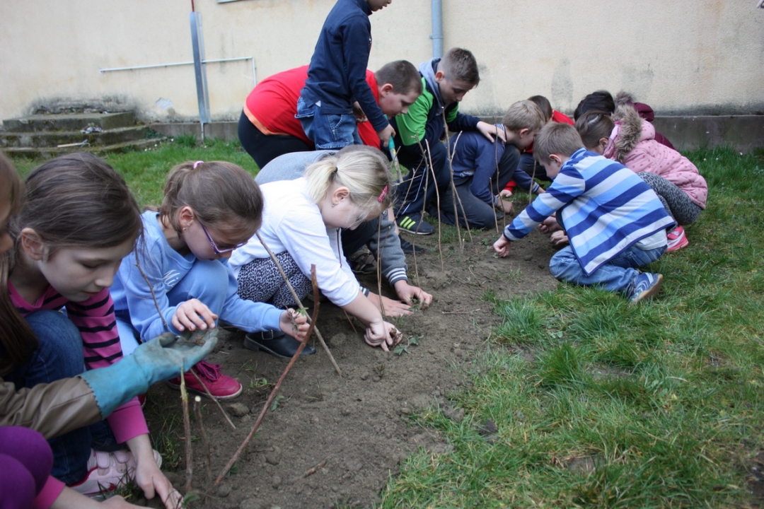 img4291resizekopija787070