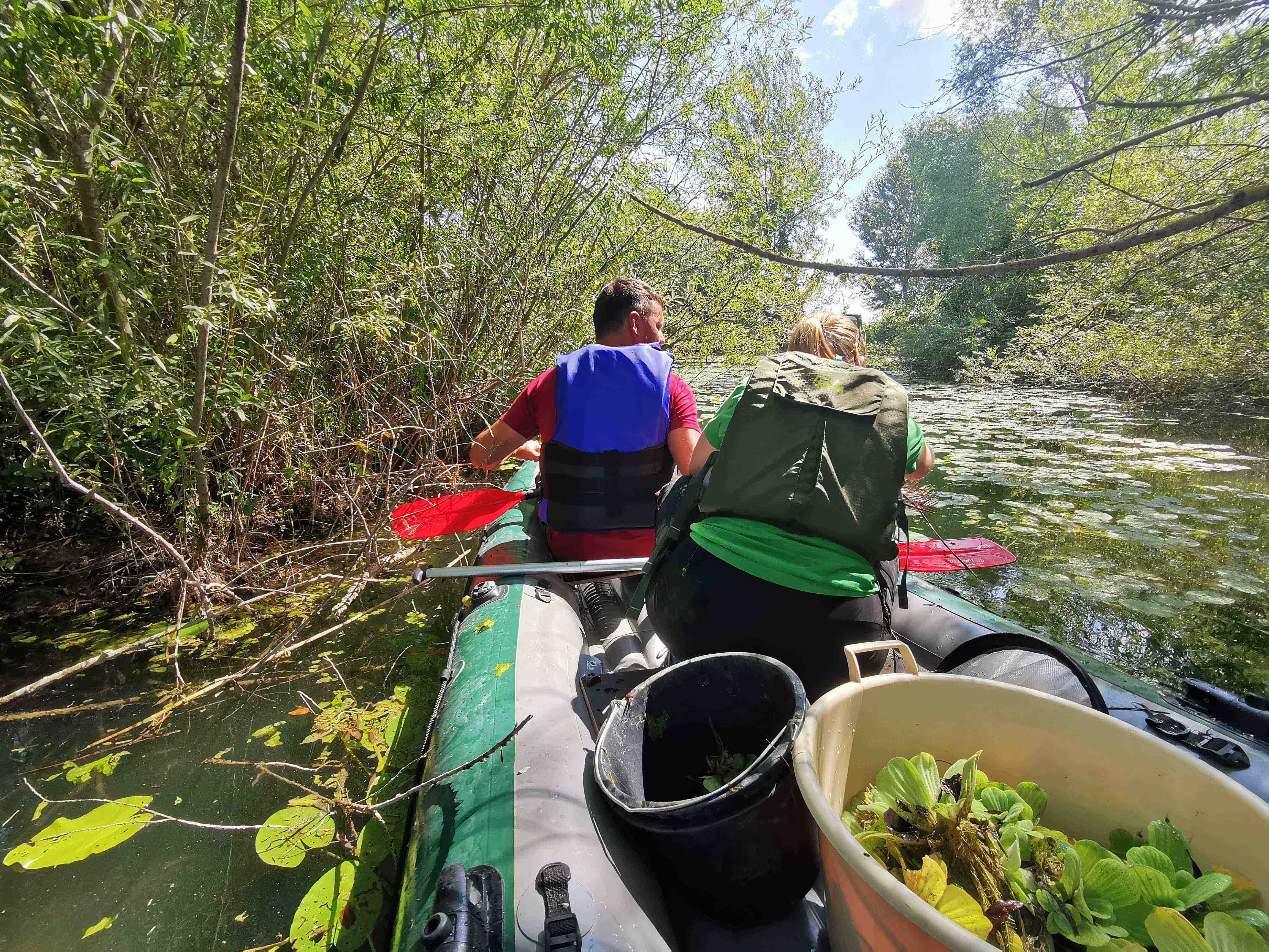 vodena salata u međimurju