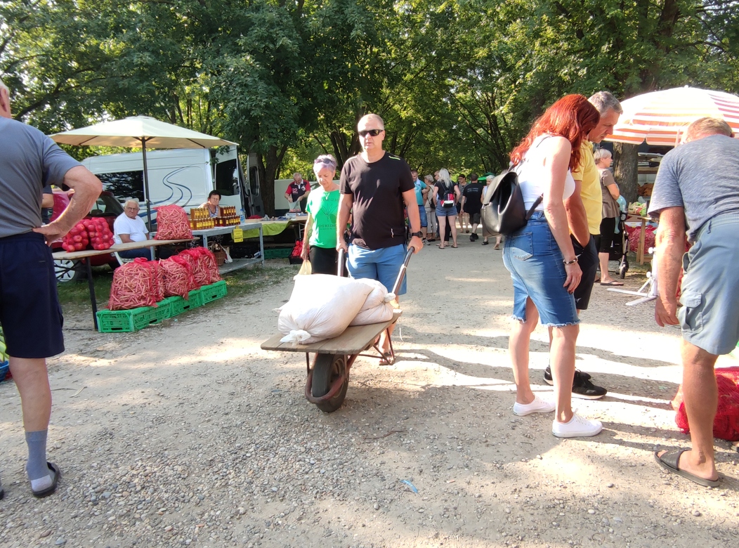 Image 5810807 (auto)