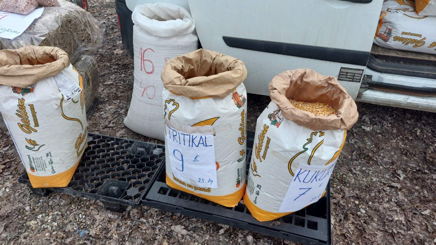 Čakovečki sajam 31.1.2024