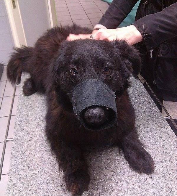 1827d336a6e7bfb45f0d60fd244fbb6