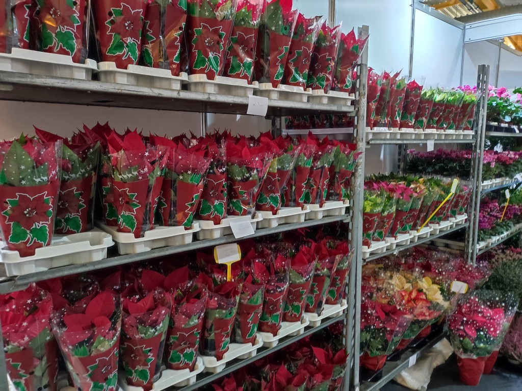 MESAP JESEN 2022 Više od 70 izlagača predstavlja se na sajamskoj manifestaciji u Nedelišću