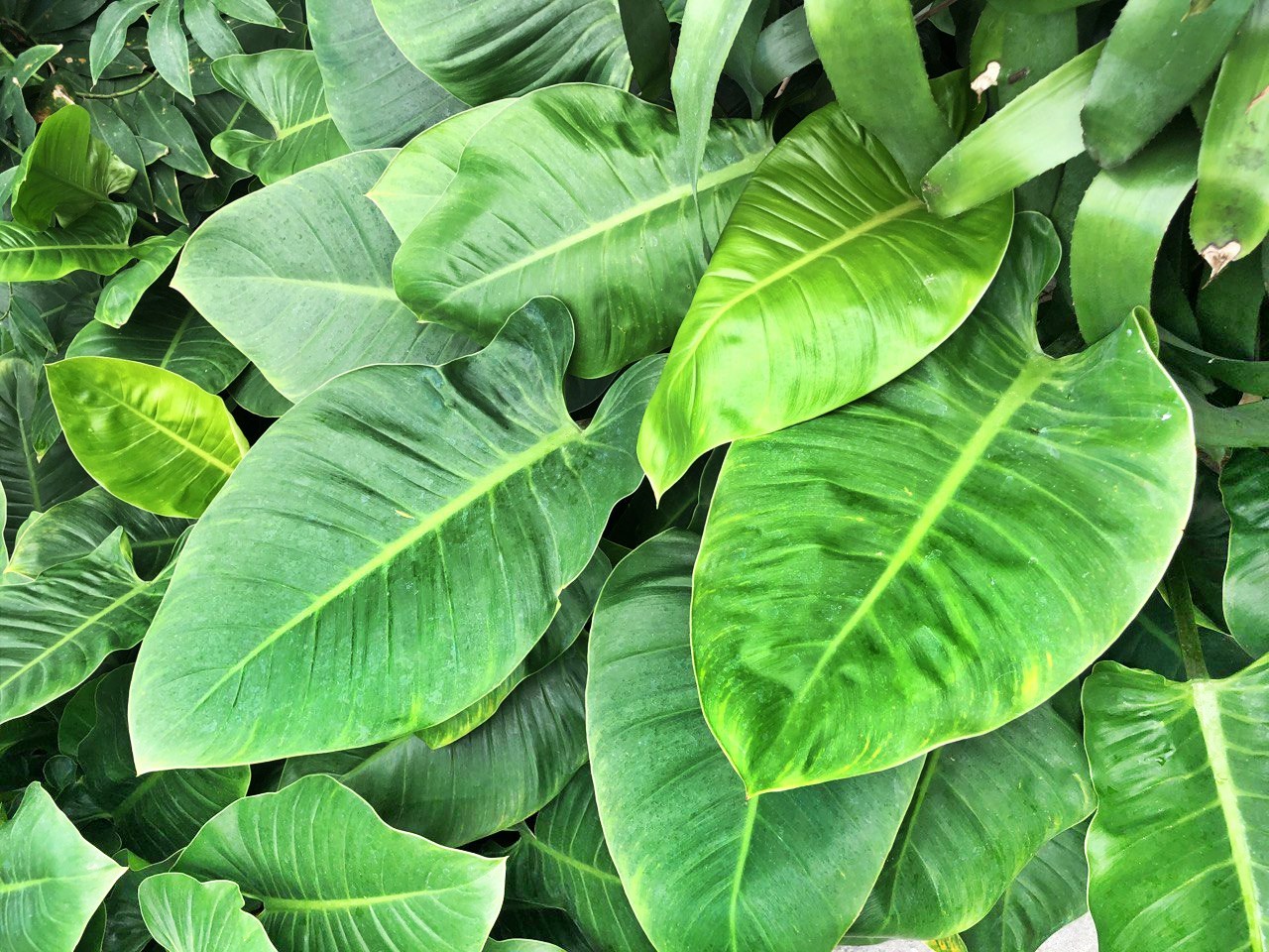 Image 5818423 (auto)