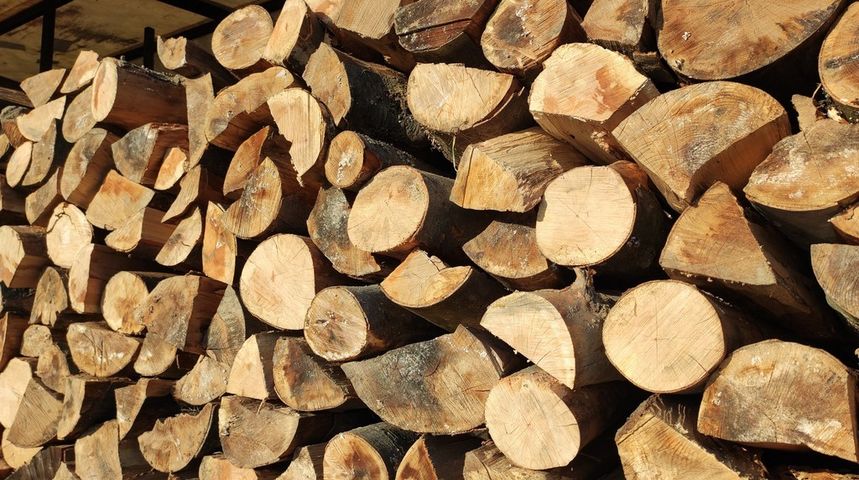 SAJAM SRIJEDOM Cijena drva za ogrjev odletjela u nebo! SAJAM SRIJEDOM Cijena drva za ogrjev odletjela u nebo!