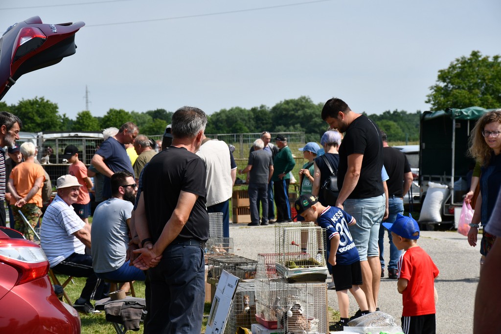 FOTO Izložba malih životinja privukla brojne izlagače, ali i posjetitelje