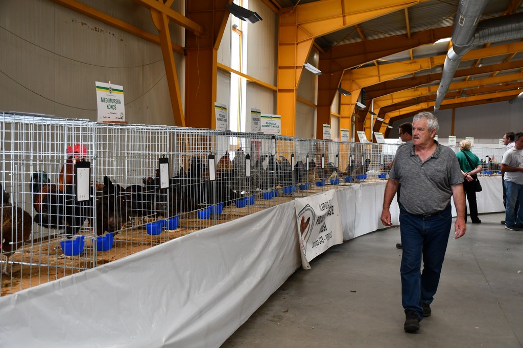 FOTO Izložba malih životinja privukla brojne izlagače, ali i posjetitelje