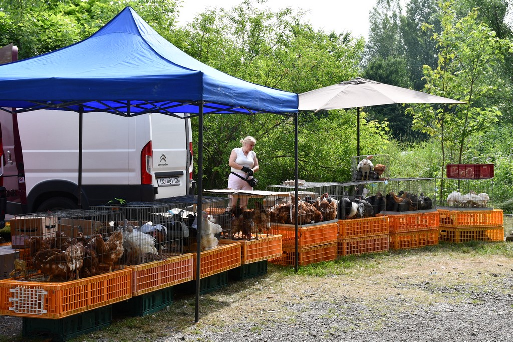 FOTO Prvi dan ljeta na čakovečkom sajmu