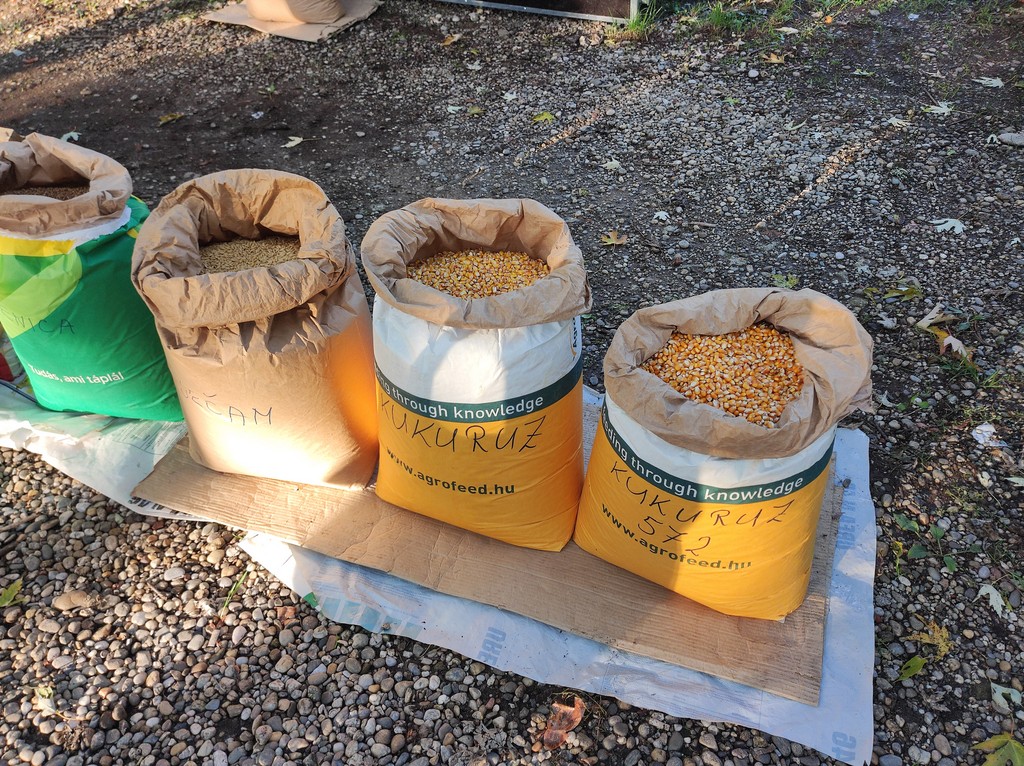 Čakovečki sajam srijedom (5.10.2022.)