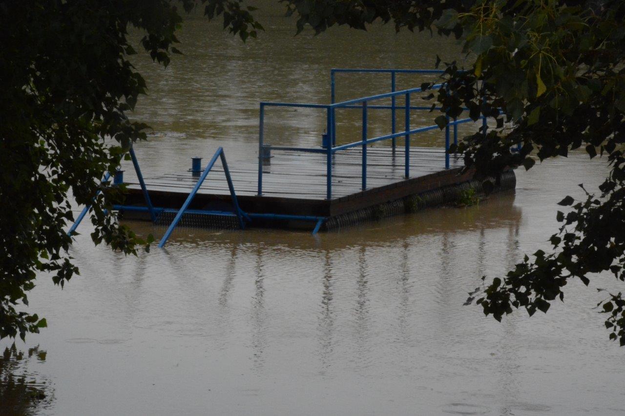 DONJA DUBRAVA Vodostaj Drave napravio svoje, veliki dio površine je već poplavljeno