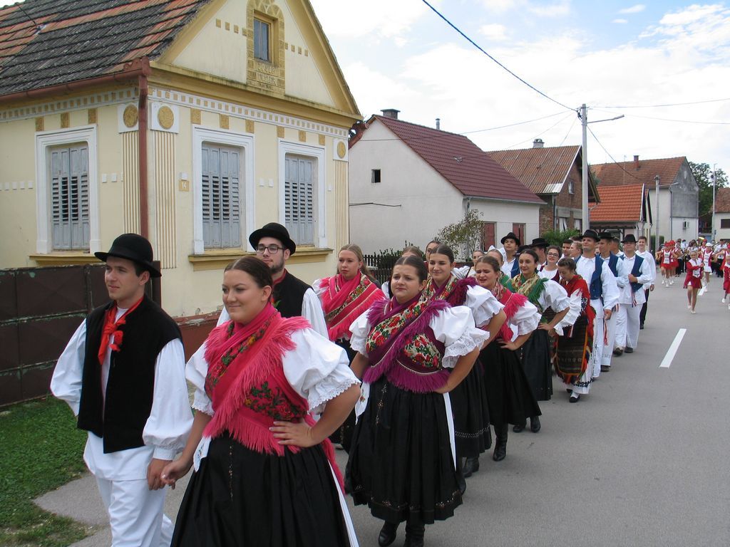 danikotoribe023275503