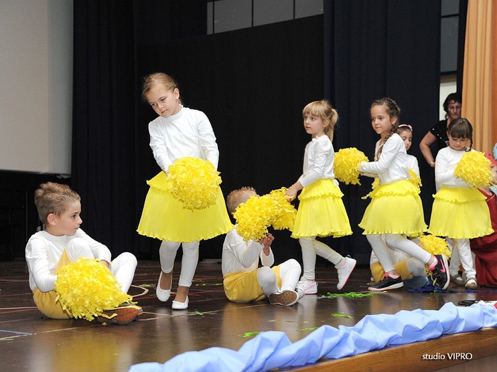 357315563vipro038834811