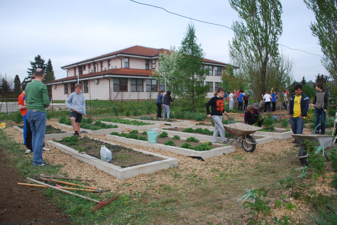 uredenjeljekovitivrtnapovisenim