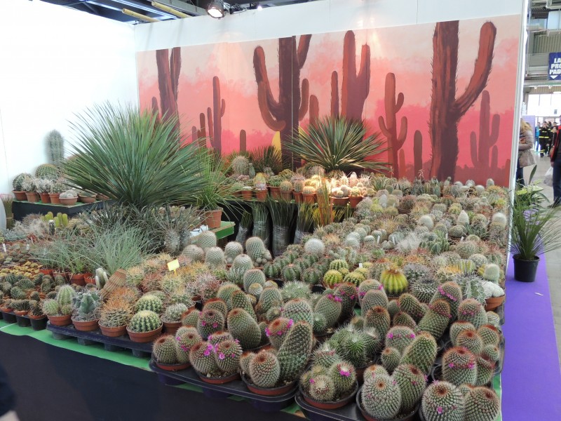 857556b6d43c464bd868f1164dae78c