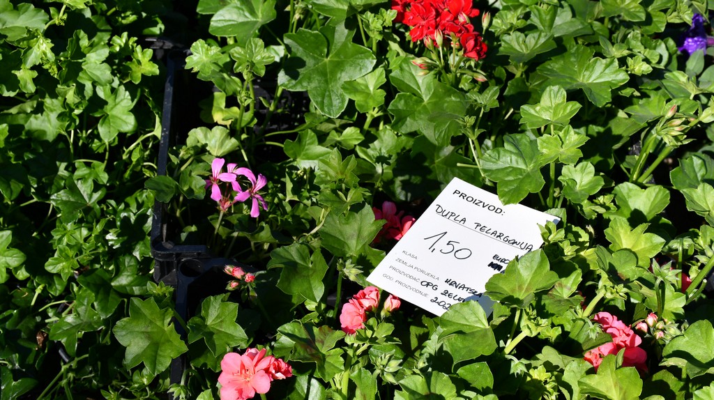 Proljetne temperature izmamile brojne posjetitelje na sajam u Čakovcu