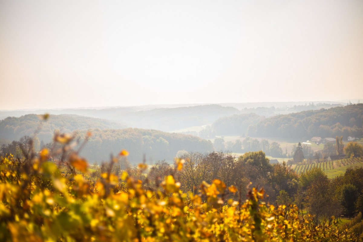Jesenska rapsodija kroz objektiv Miroslave Novak
