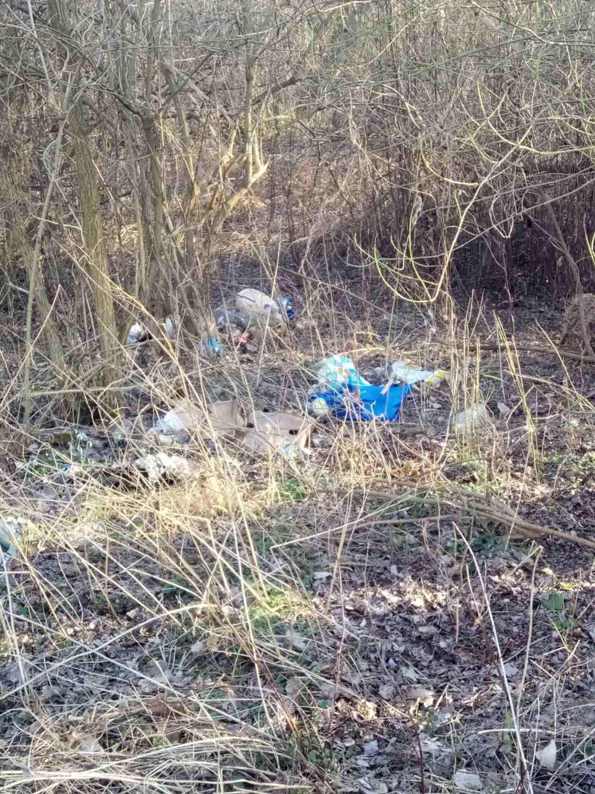 Hrpe smeća u šumi samo 50 metara od prvih kuća u Kotoribi