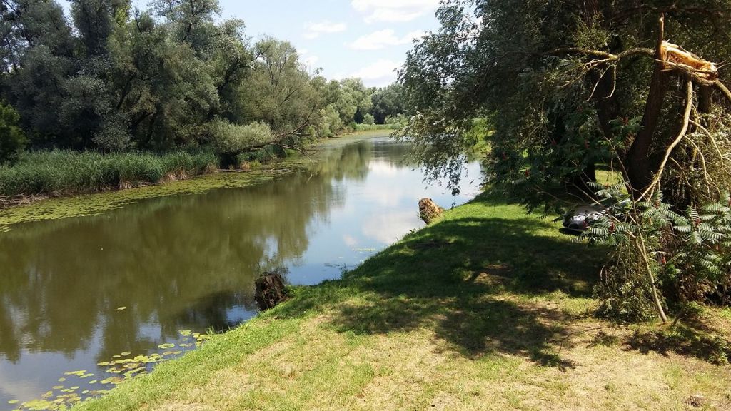 1955139813685235198838211687743