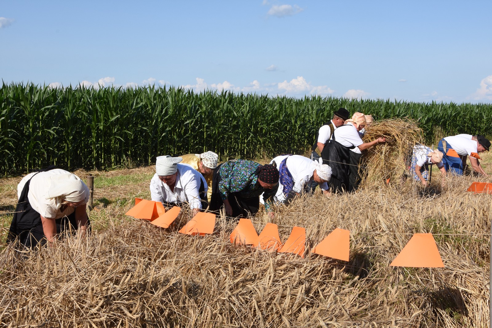 Mamičina žetva u Pušćinama